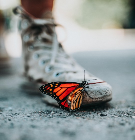 Growing in the face of challenge: What the COVID-19 pandemic can teach us about reducing substance use?