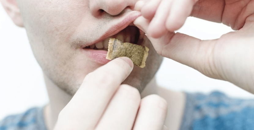 Is snus becoming the new smoking among Dutch youth?