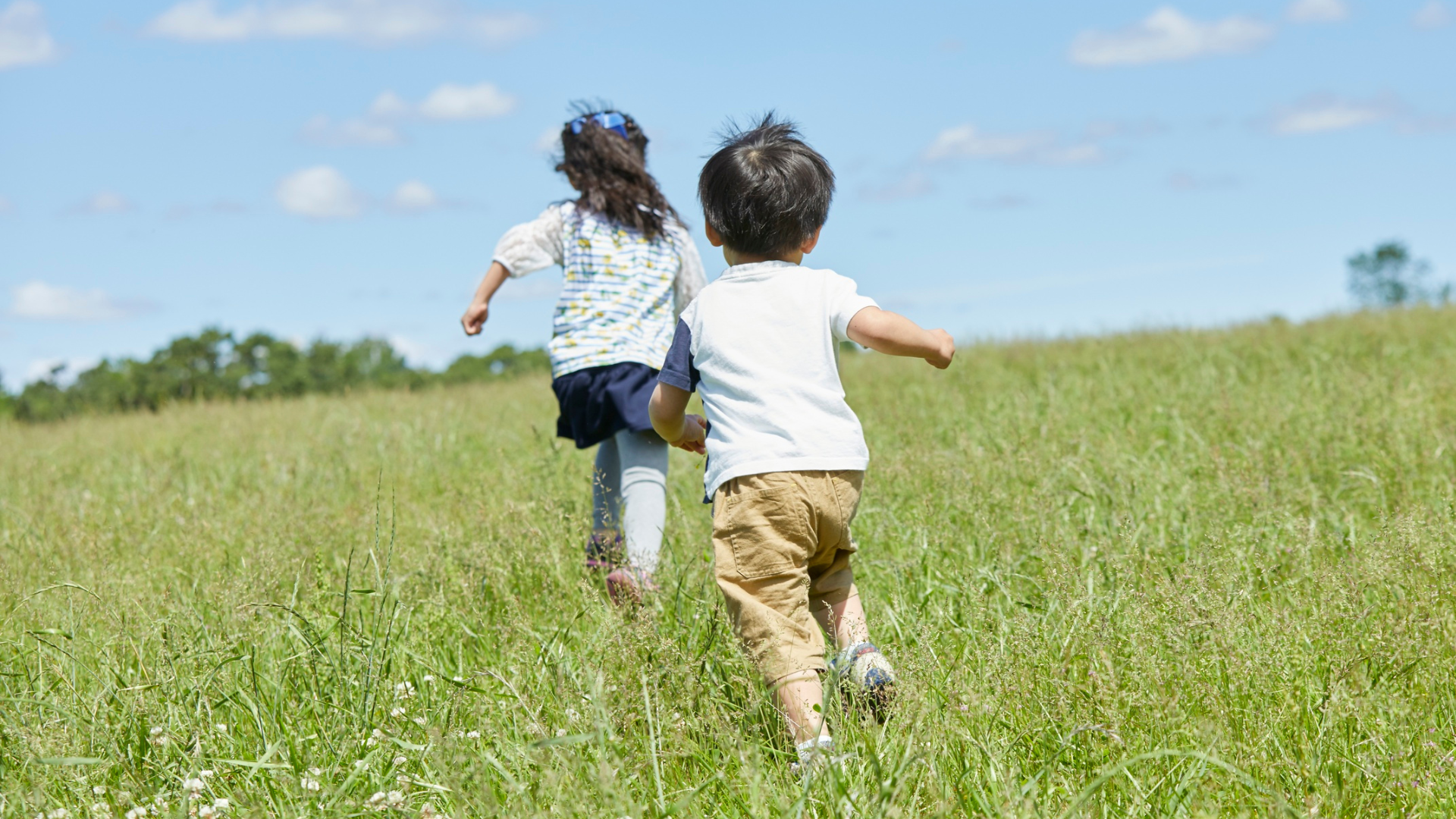 Family-focused intervention programs are insufficient to prevent obesity in young children